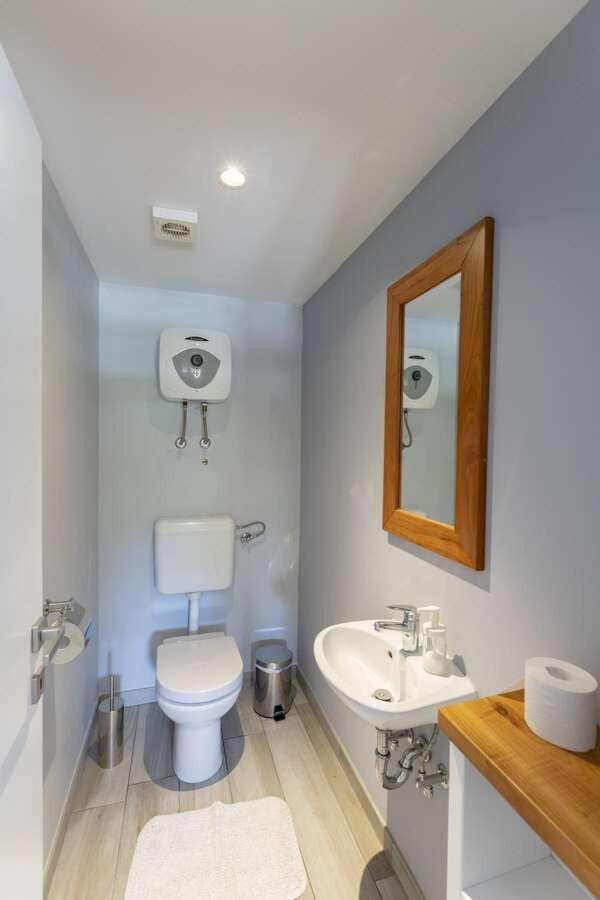 Villa Viscum In Central Istria For 8 Persons With Large Garden - Pet Friendly Pazin Bagian luar foto